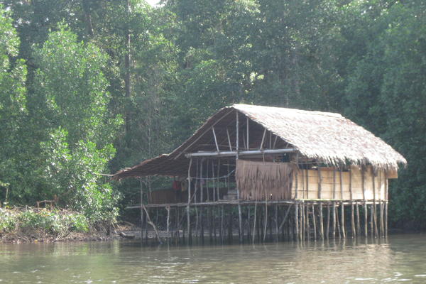 A structure on stilts in water. 