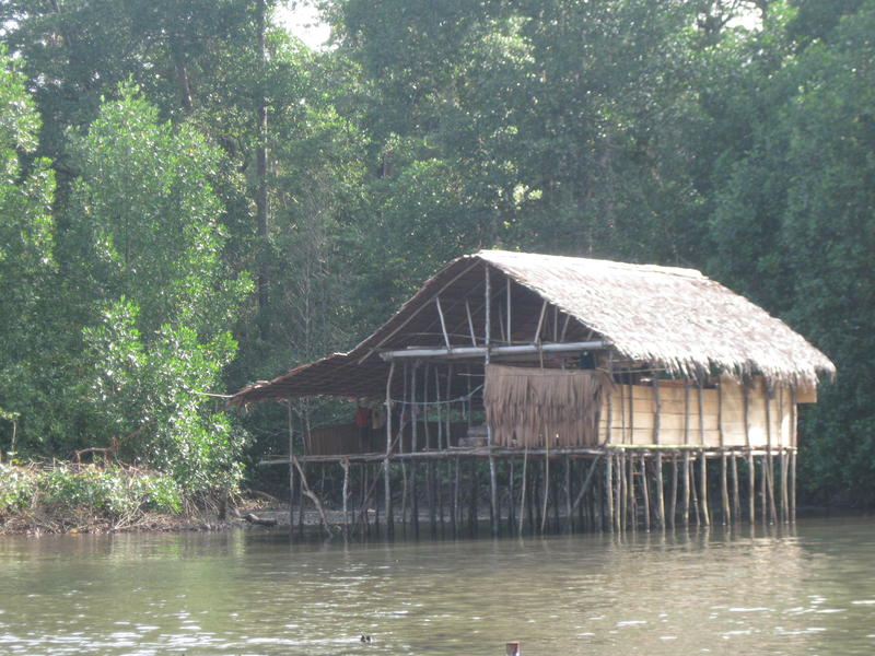 A structure on stilts in water. 