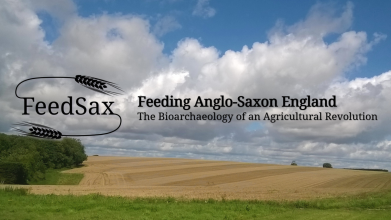 FeedSax Angle-Saxon England logo on a field landscape image