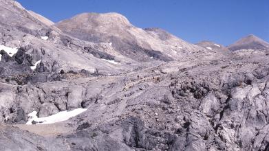 Shepherd, sheep, dog, and snow in the Mountain Desert, Sphakia. June 1987